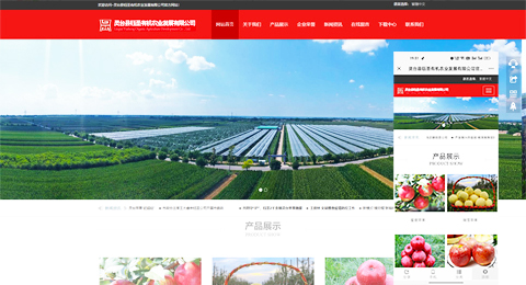 企業(yè)網(wǎng)站、程序軟件App解決方案